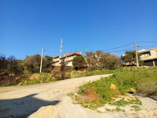 Vente Terrain Alger Douera