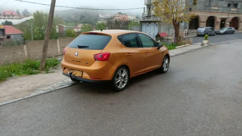 Seat Ibiza 2011 Loca