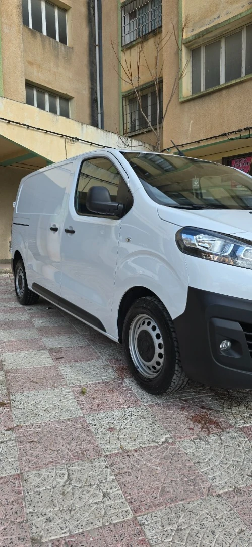 Fiat Skodo 2023