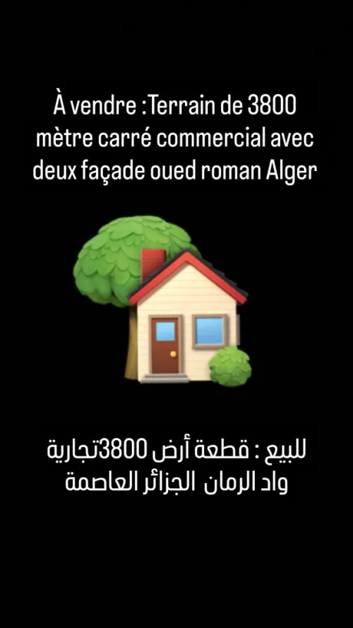 Vente Terrain Alger El achour
