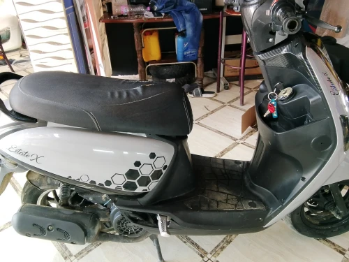 Vms Cuxi estate x 2023