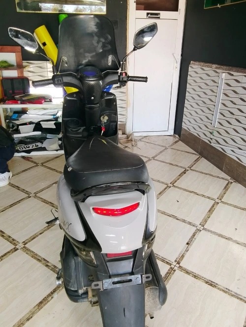 Vms Cuxi estate x 2023