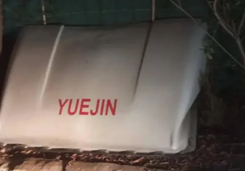 Youjin