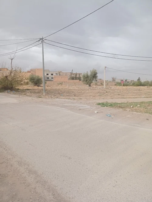 Vente Terrain Tlemcen Tlemcen