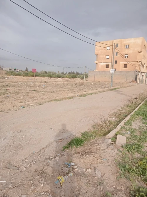 Vente Terrain Tlemcen Tlemcen