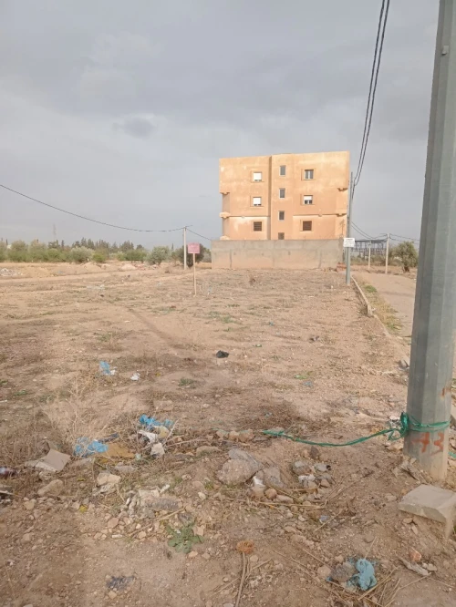 Vente Terrain Tlemcen Tlemcen