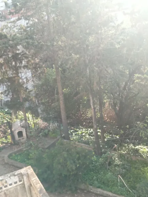 Vente Villa Alger El mouradia