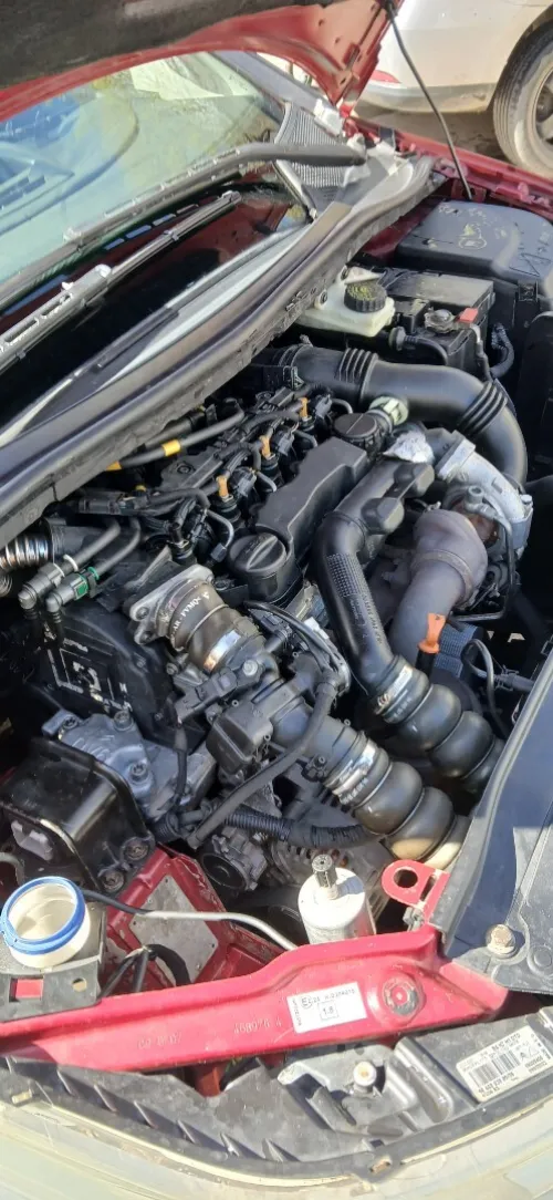 Citroen C4 2008 Vitamine