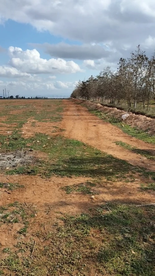 Vente Terrain Agricole Tlemcen Maghnia