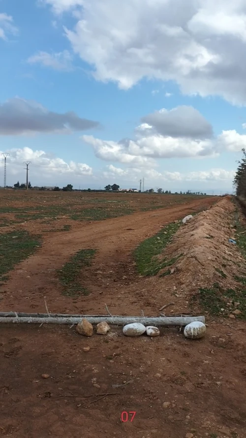 Vente Terrain Agricole Tlemcen Maghnia