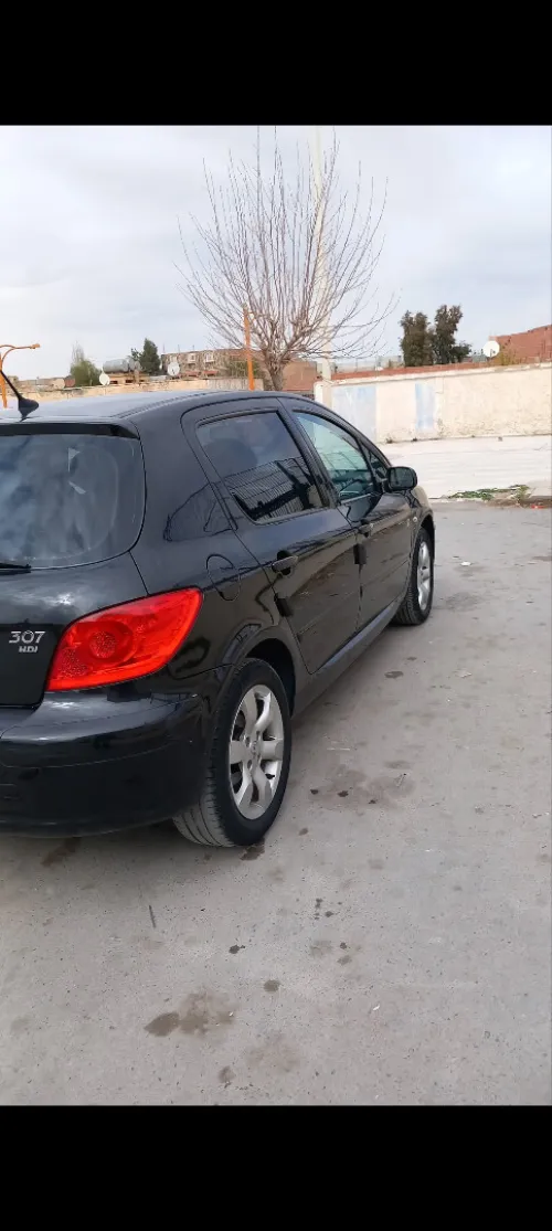 Peugeot 307 2007 307