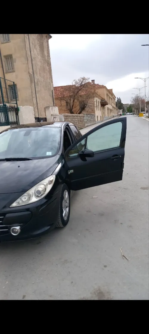 Peugeot 307 2007 307