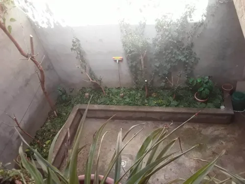 Vente Villa Tissemsilt Tissemsilt