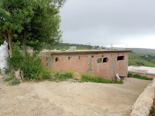 Vente Terrain Tlemcen Sebaa chioukh