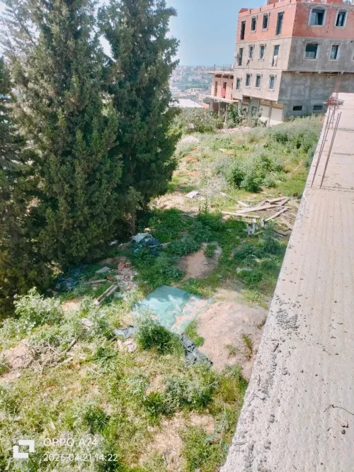 Vente Terrain Boumerdès Boudouaou