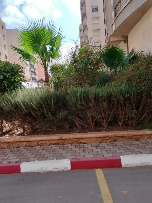 Vente Duplex F8 Tipaza Fouka