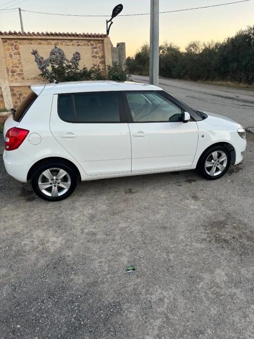 Skoda Fabia 2014 Fresh