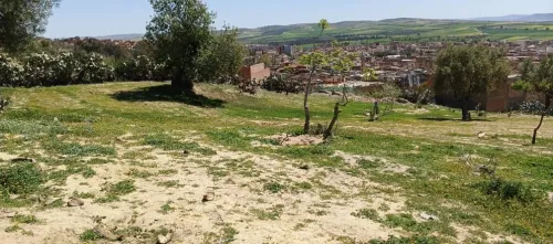 Vente Terrain Sidi Bel Abbès Sfissef