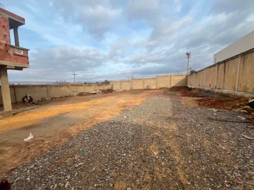 Location bien immobilier Relizane Merdja sidi abed
