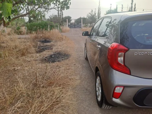 Kia Picanto 2018 EX