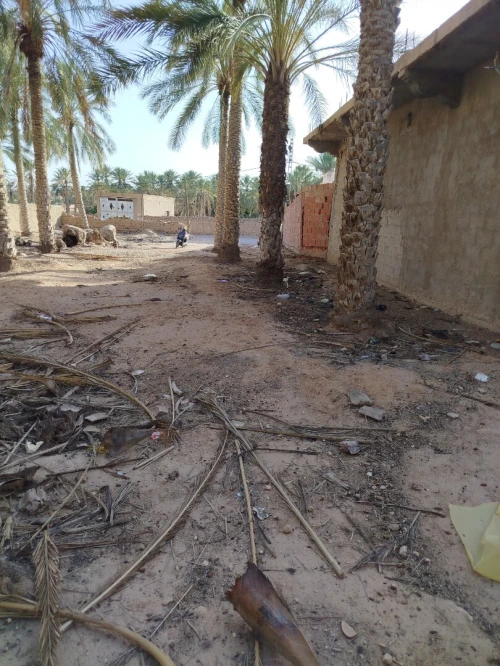 Vente Terrain Biskra Tolga