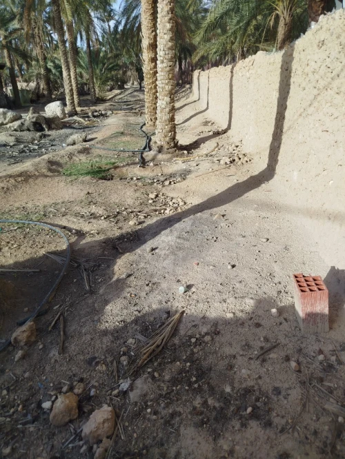 Vente Terrain Biskra Tolga