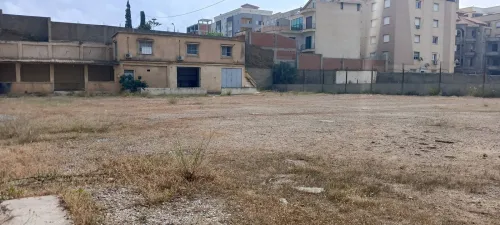 Location Terrain Alger Bordj el kiffan