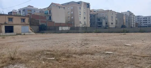 Location Terrain Alger Bordj el kiffan