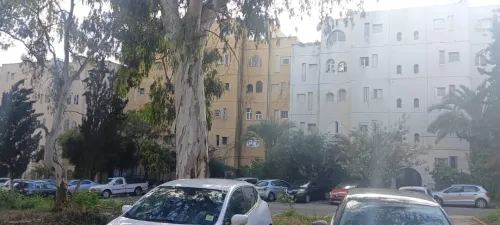 Location Appartement F3 Alger Kouba