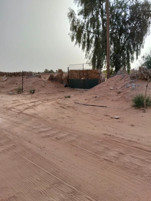 Vente Terrain Agricole Ouargla Ngoussa