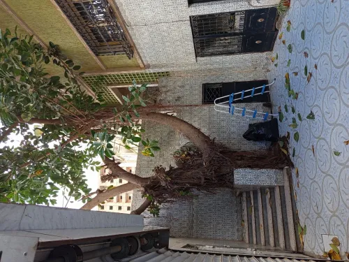 Vente Villa Oran Oran