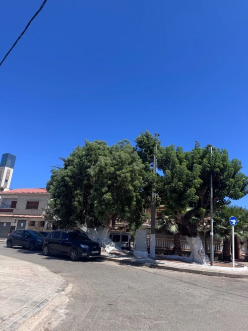 Vente Villa Alger Mohammadia