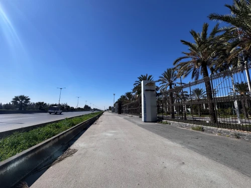 Location Hangar - Usine Alger Rouiba