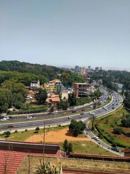 Vente Immeuble Alger Ben aknoun