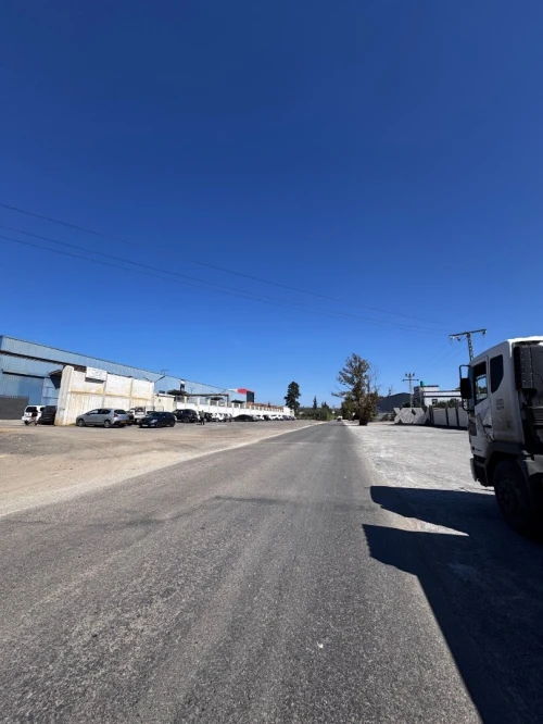 Location Hangar - Usine Tipaza Kolea