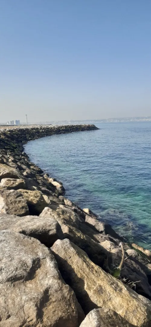 Vente Terrain Alger Bordj el kiffan