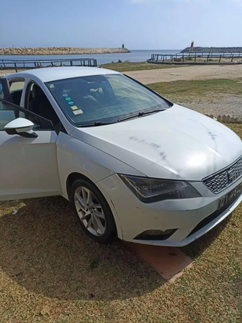 Seat Leon 2014 Style