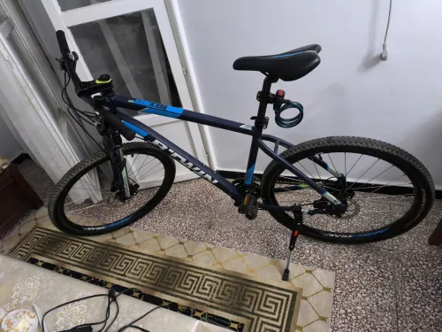 Bitwin Rockrider 520 XL 