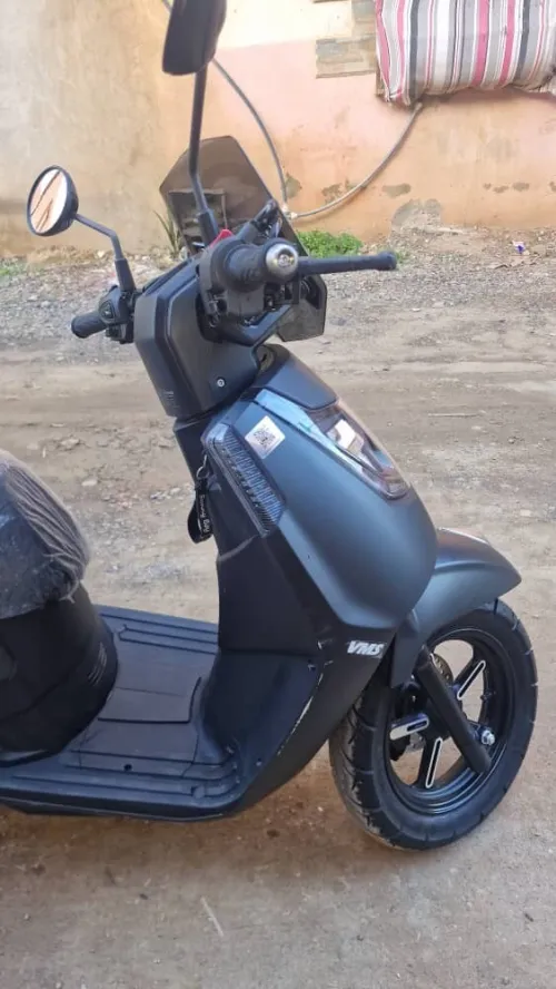 Vms Gemma 2025