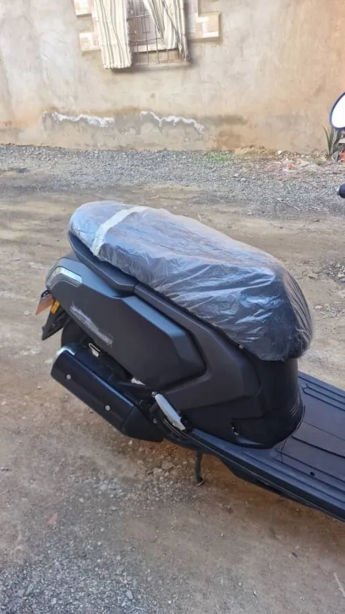 Vms Gemma 2025