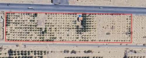 Vente Terrain Agricole Biskra Oumache