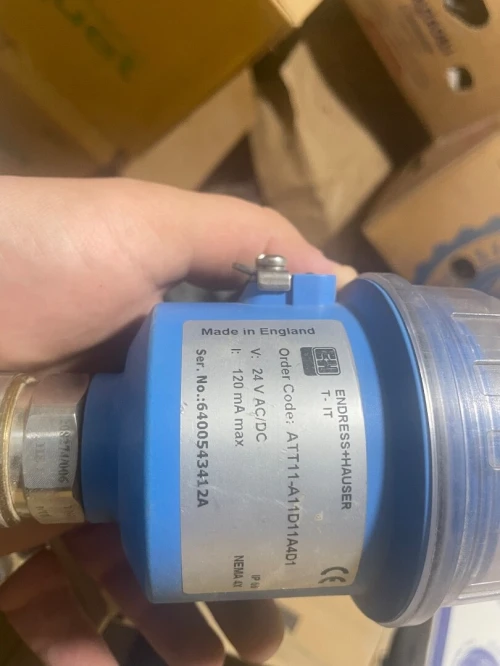 Endress Hauser T-switch AT11