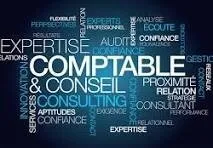EXPERT COMPTABLE