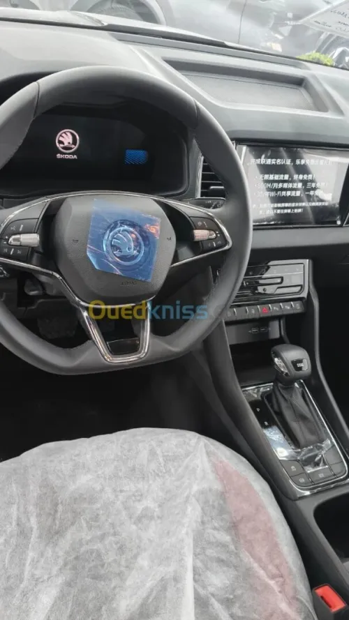 Skoda Karoq 2026 Full options