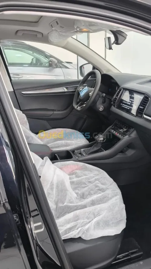 Skoda Karoq 2026 Full options