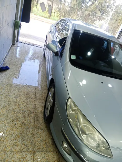 Peugeot 407 2005 