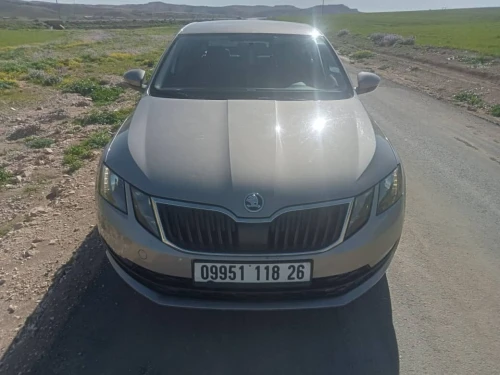 Skoda Octavia 2018 Business