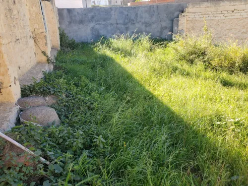 Vente Terrain Alger El biar