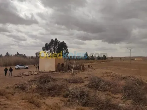 Vente Terrain Agricole Laghouat Tadjemout