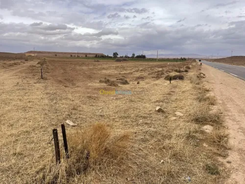 Vente Terrain Agricole Laghouat Tadjemout
